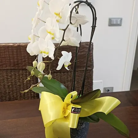 Casa Nell'arte וילה